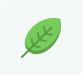 Segment image 
